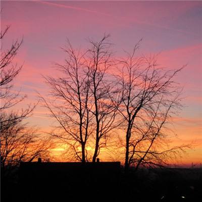 半岛综合娱乐app下载手机版截图